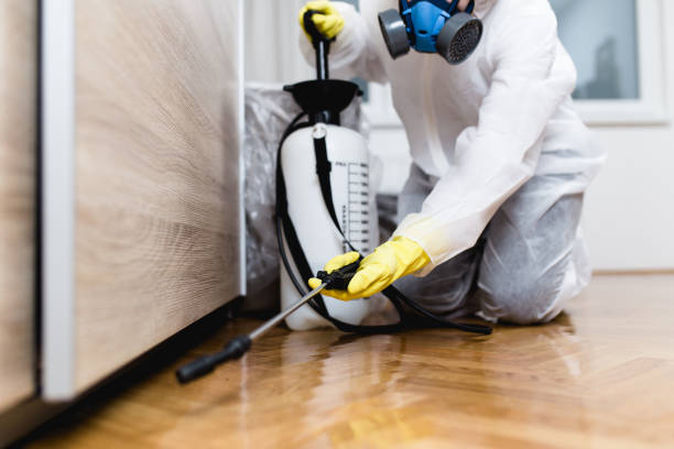 Best Flea Control Services  in Westwood Shores, TX