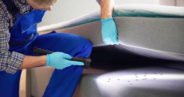 Best Commercial Pest Control Services  in Westwood Shores, TX