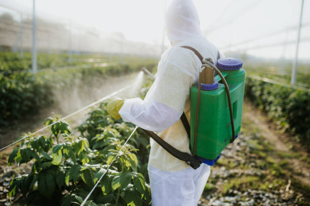 Best Affordable Pest Control Services  in Westwood Shores, TX